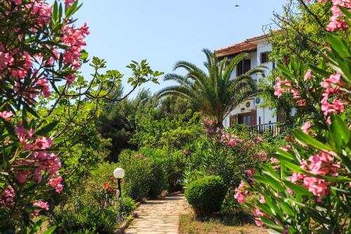 un jardín con flores rosas frente a una casa en Studios Avra, en Agios Georgios