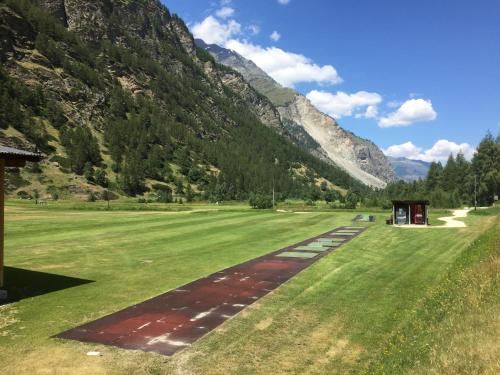 a large grass field with mountains in the background at Monte Rosa D 412 in Täsch