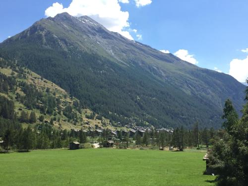a large green field with a mountain in the background at Monte Rosa D 412 in Täsch