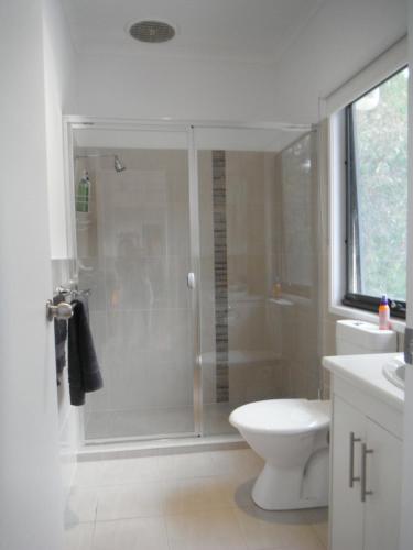 a bathroom with a shower with a toilet and a sink at Wallaby Retreat in Kingscote