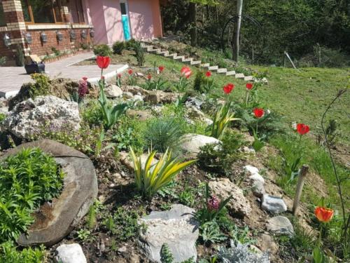 Jardín al aire libre en Ranch Diamond Sarajevo