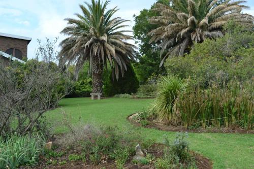 a garden with two palm trees and green grass at Apple Orchard Cottage in Harrismith