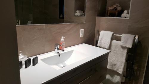 Un baño con lavabo blanco con una botella de jabón. en Sequoia Steps en New Plymouth