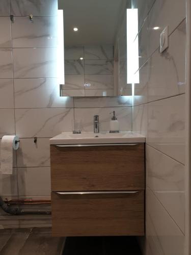 une salle de bain avec un lavabo et un miroir dans l'établissement Cozy Loft Metz Gare, Pompidou, Centre Congres, Muse, à Metz