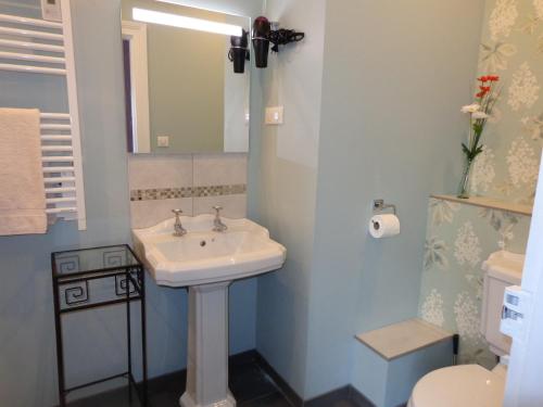 a bathroom with a sink and a toilet at La Maison Ribotteau in LʼIsle-Jourdain