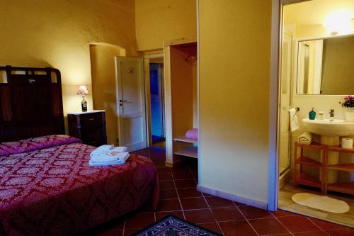 a bedroom with a bed and a sink in a room at Barco Mediceo B&B In Toscana in Carmignano