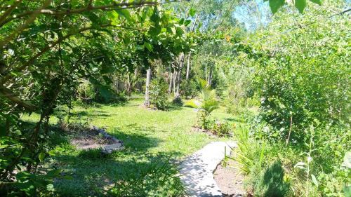 a path through a forest with trees and grass at Cabana Bambu in Sapiranga