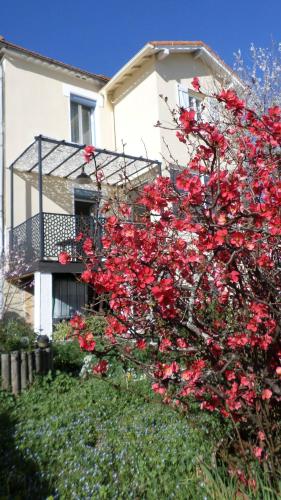 Gallery image of l'agapanthe in Conques-sur-Orbiel