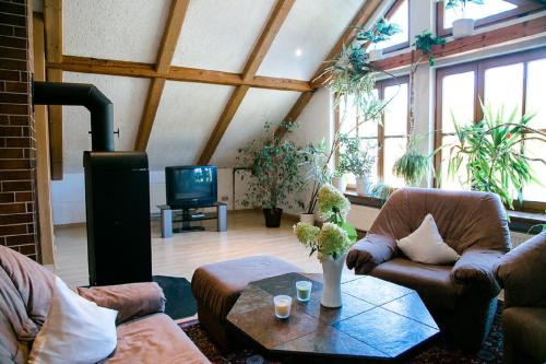 a living room with two couches and a tv at Hohes Ferienhaus in Heiligenstadt