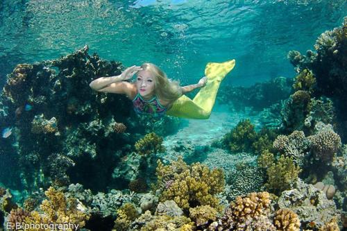 Uma rapariga vestida de sereia a nadar sobre um recife de coral. em Deep south Eco-lodge em Marsa Alam