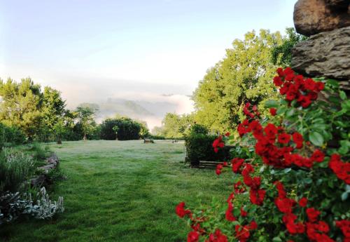 un jardín con flores rojas en un campo en Chambres d'Hôtes Le Puits d'Amour, en Mirandol-Bourgnounac