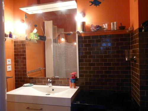 ein Bad mit einem Waschbecken und einem Spiegel in der Unterkunft Chambre d'hôtes dans Résidence in Dijon