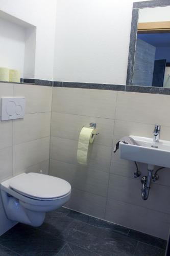 a bathroom with a toilet and a sink at Apart Alpin in Hippach