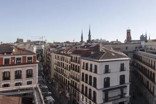 Petit Palace Plaza Mayor photo 13