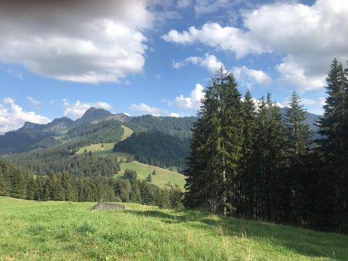 a green field with trees and mountains in the background at Route des Joncs 300 Appartemen in Les Paccots