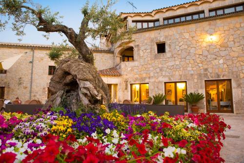 a garden of flowers in front of a building at Monnaber Nou Finca Hotel & Spa in Campanet