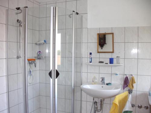 La salle de bains est pourvue d'une douche et d'un lavabo. dans l'établissement Engel Ringsheim, à Ringsheim