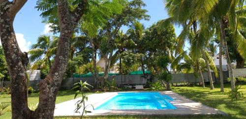 a swimming pool in a yard with palm trees at Villa Cococherie in Poste Lafayette