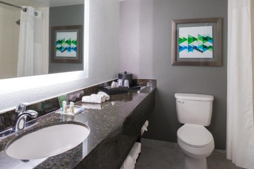 a bathroom with a sink and a toilet and a mirror at Holiday Inn Hotel and Suites Beaumont-Plaza I-10 & Walden, an IHG Hotel in Beaumont