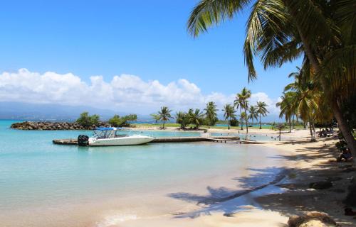 a boat in the water on a beach with palm trees at Les Héliconias Résidence cosy et calme in Les Abymes