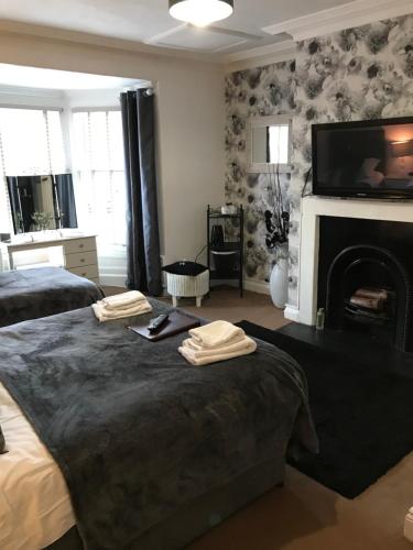 1 dormitorio con 2 camas, chimenea y TV en Castle Gate, en Alnwick