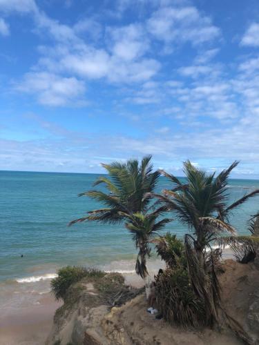 two palm trees on a sandy beach near the ocean at Apartamento com vista para o mar in Jacumã