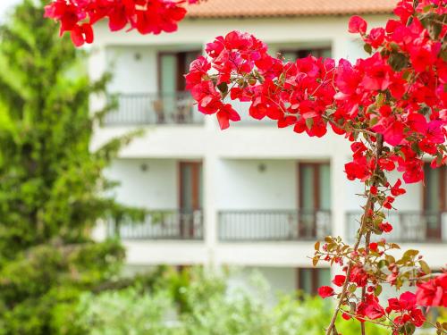 a bunch of red flowers in front of a building at Hotel Europa Olympia in Olympia