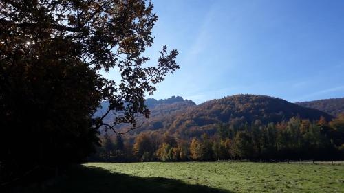 a green field with trees and a mountain in the background at Apartment Rychtrovna in Hejnice