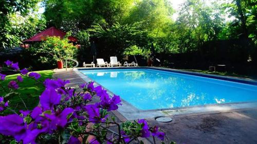a swimming pool in a yard with purple flowers at Hotel Campestre El Escape in Utica