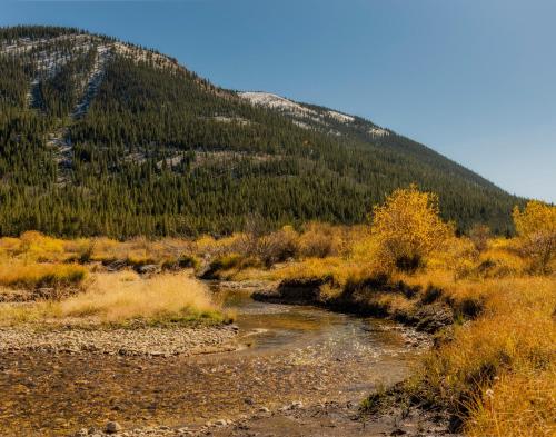Tashi's Cabin – Photos 5
