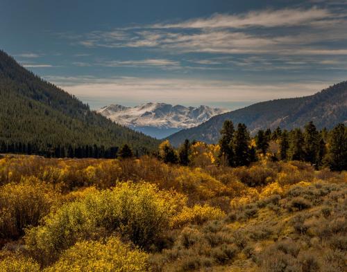 Tashi's Cabin – Photos 3