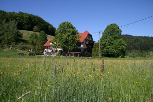 Hotel-Restaurant Kohlenbacher-Hof builder 2