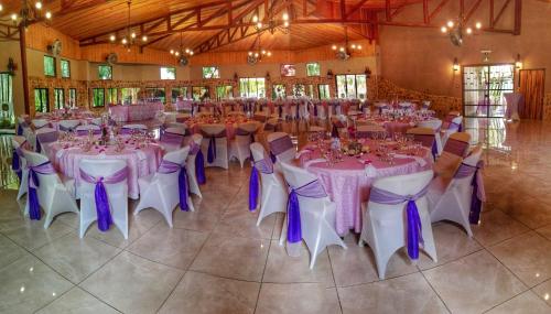 a large banquet hall with tables and chairs with purple bows at Hotel Cibeles Resort in Heredia