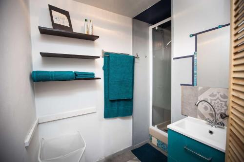 uma casa de banho com um lavatório, um WC e um espelho. em La Petite Côte de la Cité em Carcassonne