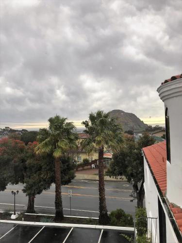 a view of a street with palm trees and a building at Masterpiece Hotel in Morro Bay