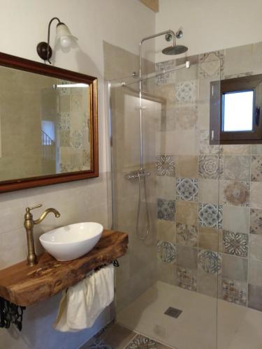 a bathroom with a sink and a shower at La Salceda in Torre Val de San Pedro