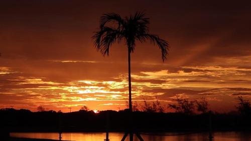 una palmera frente a una puesta de sol en apart-hotel Golden Lake, en Arraial do Cabo