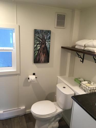 a bathroom with a toilet and a painting on the wall at Tiny Homes by Snow Valley Lodging in Fernie