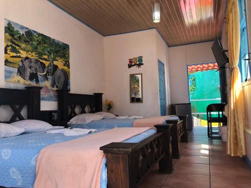 a group of four beds in a room at Hotel La Uvita in Puerto Limón