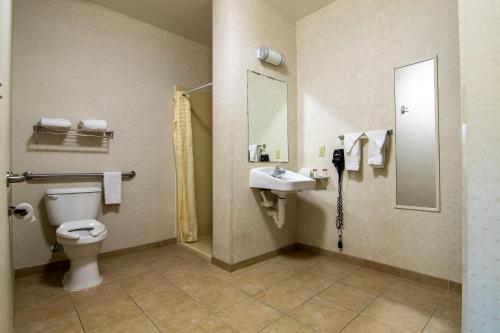 y baño con aseo y lavamanos. en Executive Inn & Suites Upper Marlboro, en Upper Marlboro