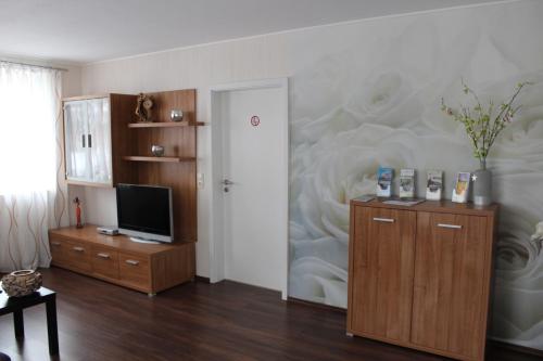TV a/nebo společenská místnost v ubytování Gästehaus Ditz