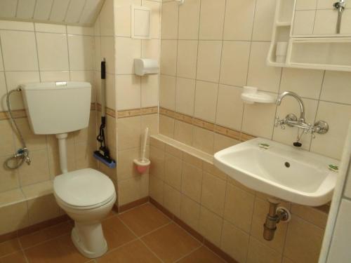 a bathroom with a toilet and a sink at Doctor's House in Sinemorets