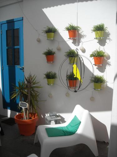 a room with potted plants on the wall at Aveiro Rossio Hostel in Aveiro