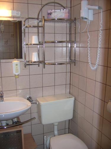 a small bathroom with a toilet and a sink at Gästehaus Hochrhönblick in Schönau an der Brend