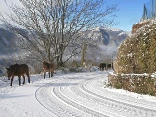 Le Case dell'Arco – Monte San Vito v zimě