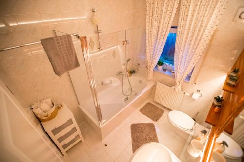 ein weißes Bad mit einer Dusche und einem WC in der Unterkunft Landhaus in Swisttal