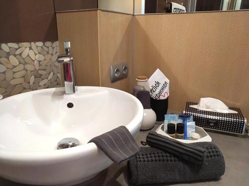 a bathroom with a white sink and a mirror at Business Apartments in Hohenems