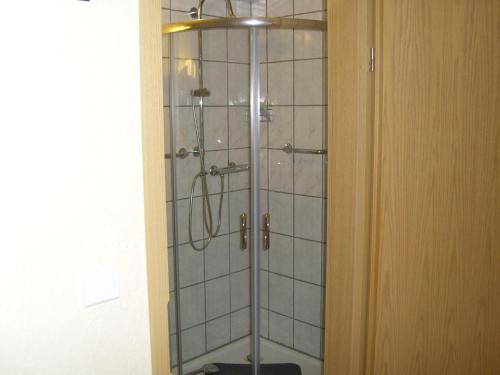 a shower with a glass door in a bathroom at B & B Gross Methling in Dargun