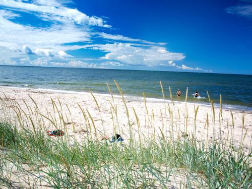a beach with some people in the water and grass at Roosta Holiday Village in Elbiku