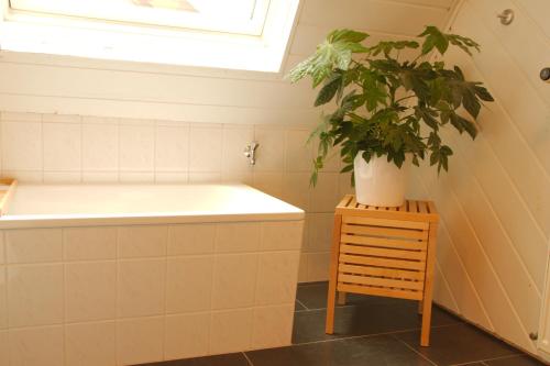 a bathroom with a tub and a potted plant at Ferienwohnung Bildgasse in Neustadt an der Weinstraße